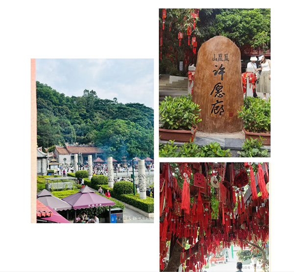 登山團建丨攜手共進&nbsp; 勇攀高峰