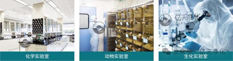 清穹·實(shí)驗(yàn)室空氣凈化柜--開啟實(shí)驗(yàn)室空氣新“凈”界