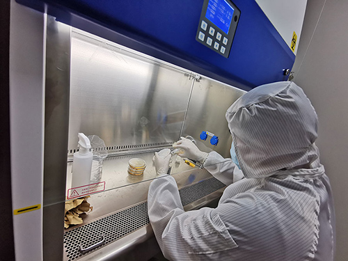 億天凈化榮獲深圳市“專精特新”中小企業(yè)認定